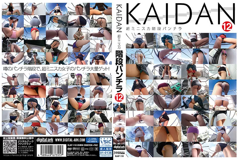 SLAP-110 KAIDAN 12